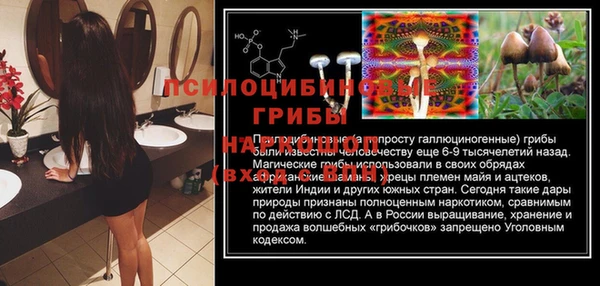 героин Алексин