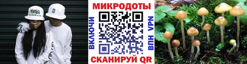 закладка  Невинномысск  Галлюциногенные грибы ЛСД 