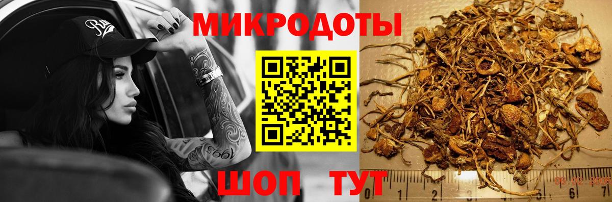 Галлюциногенные грибы прущие грибы Невинномысск